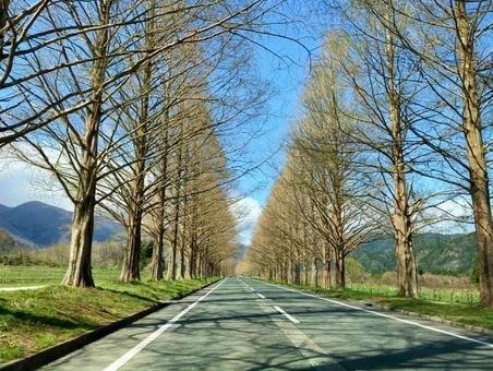 🌳 다카시마시 농업공원 마키노 픽랜드 (다카시마시 노교코엔 마키노 픽쿠란도) 이미지 12